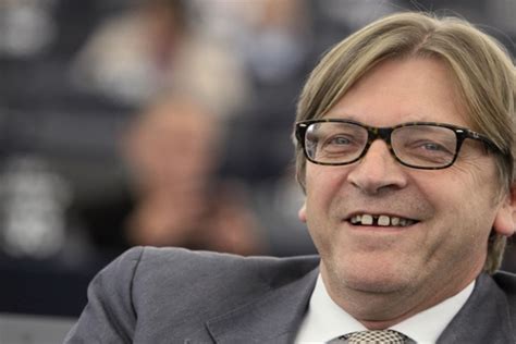 who is guy verhofstadt